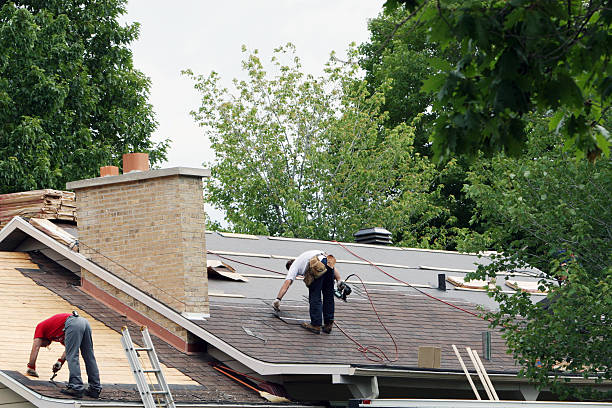 Best Roof Gutter Cleaning  in Herrin, IL