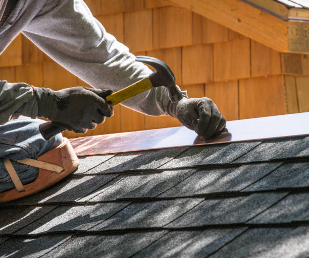 Best Roof Gutter Cleaning  in Herrin, IL